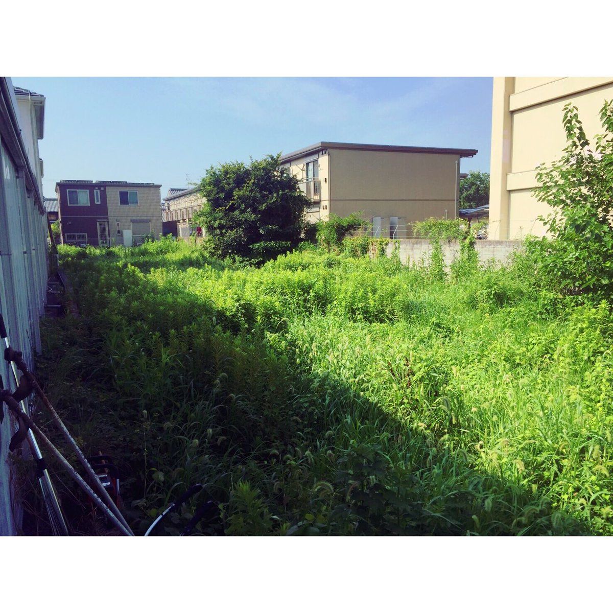 10ryu25's tweet photo. before→after👍
ほんまにジャングルやったけど
無事、駐輪場完成👏 https://t.co/r4YSx1eWNC