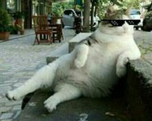 davidbryan616's tweet image. Good morning to all on Twitter its Saturday so just be cool and enjoy yr weekend its arrived stay cool and enjoy