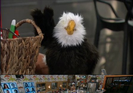 Tigrress_'s tweet photo. Just voted 4 #VICTORAFP #BB18's #AmericasFavoriteHouseguest! Cast ur vote 4 VICTOR! https://t.co/37BR1T2GlE #VICAFP https://t.co/qlVL4JnB8H