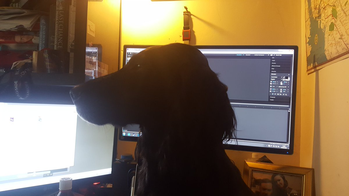 uckish's tweet image. The distraction I face when editing #strippanelnaked