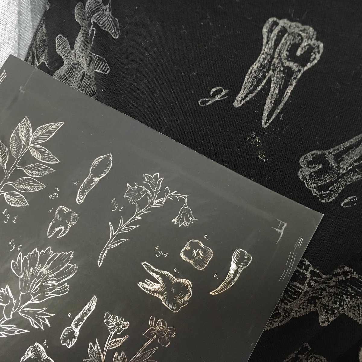 NNHSart's tweet photo. #APstudioart #4x5 inspired by a shirt, or coincidence? You decide! #scientificdrawings #figure5 #teeth #plants https://t.co/bL1YHI8f8L
