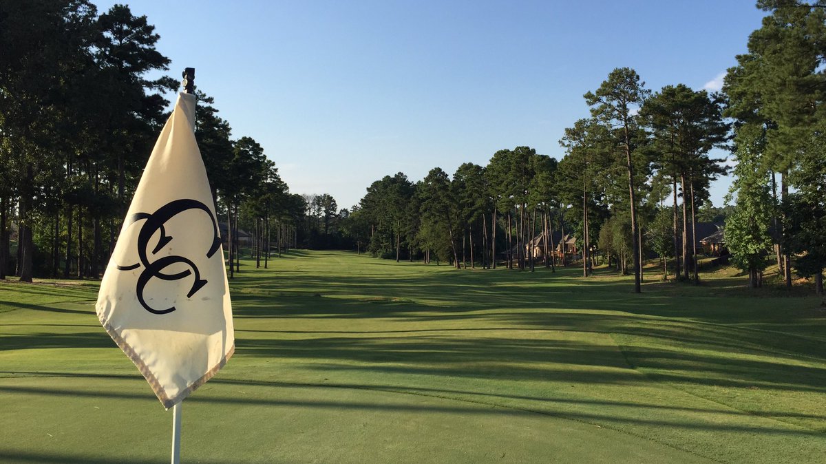 Castlewoods CC tweet media