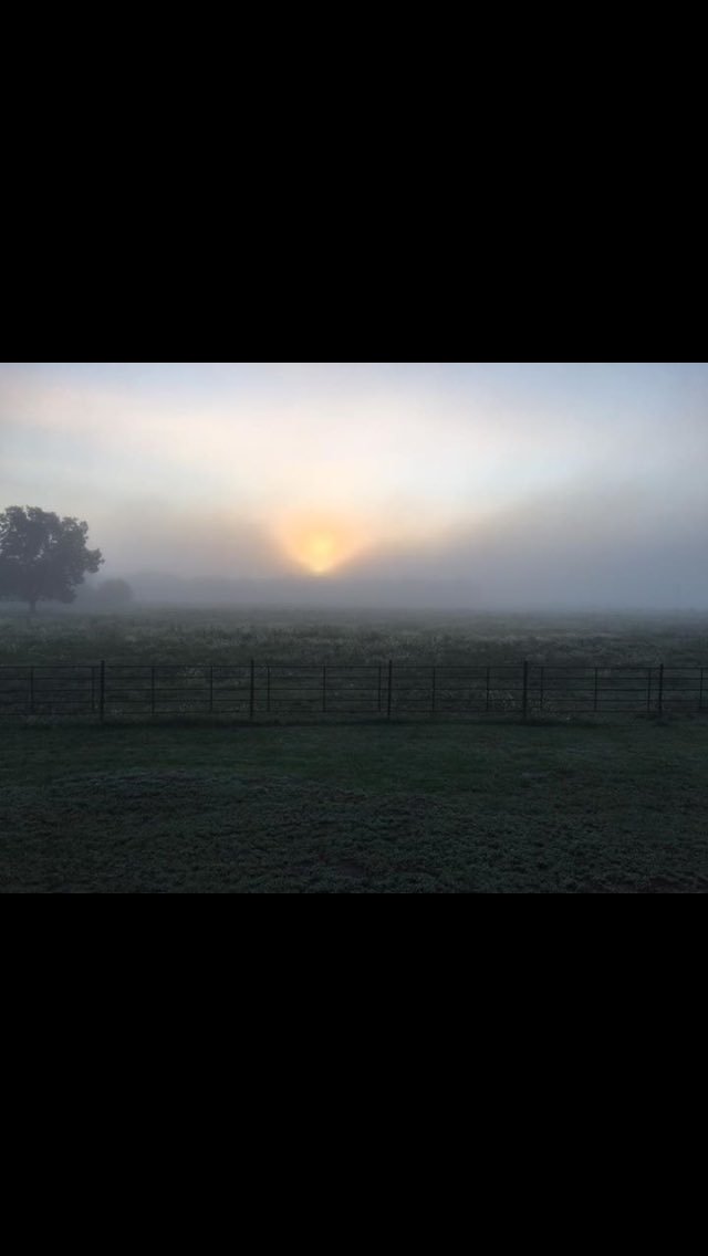 Roger Riddle tweet media