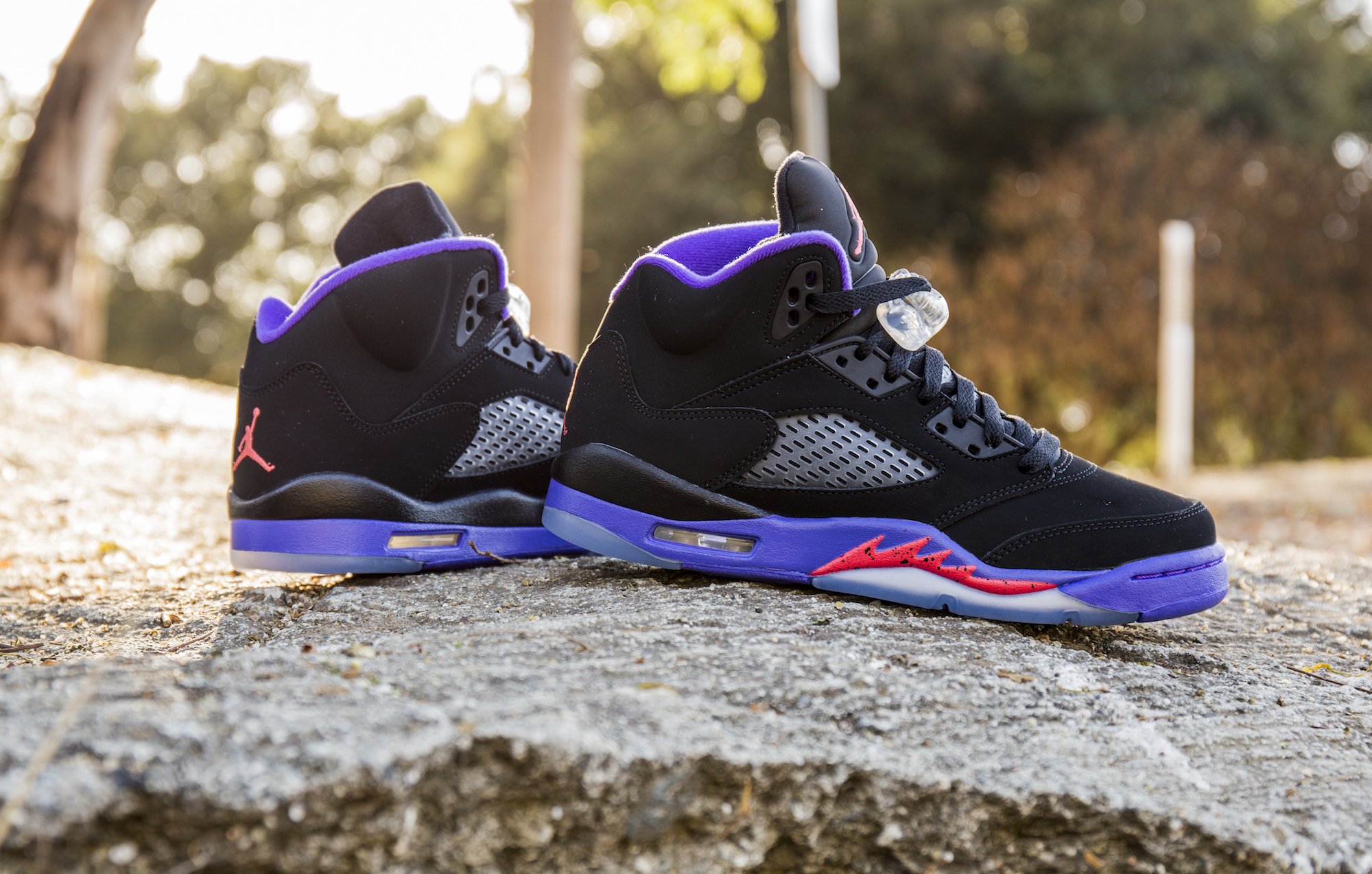 Jordan, Shoes, Air Jordan 5 Retro Raptors