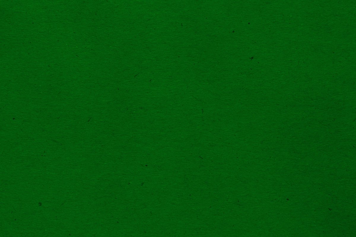 Plymouth Argyle FC tweet media