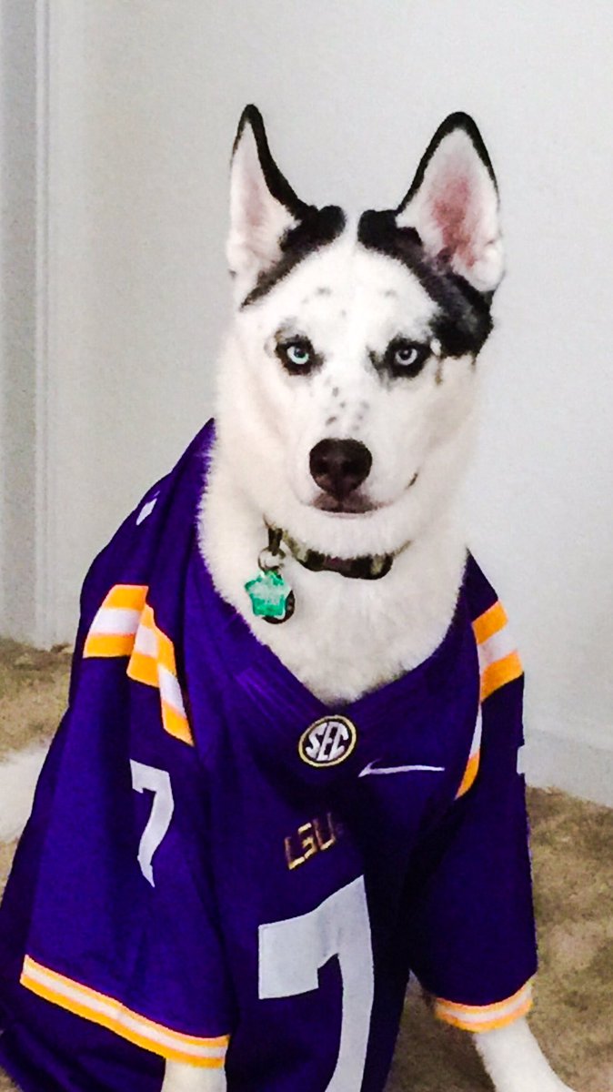 CourtneyRosson's tweet photo. We are ready for game day! @_fournette @Mathieu_Era https://t.co/JswSKB666A