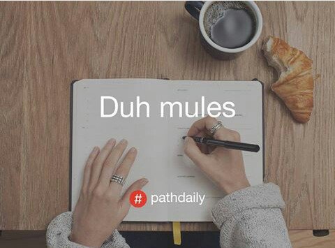justbob616's tweet photo. #mulesmaksimal #sumpeh https://t.co/vmShw7QXcW