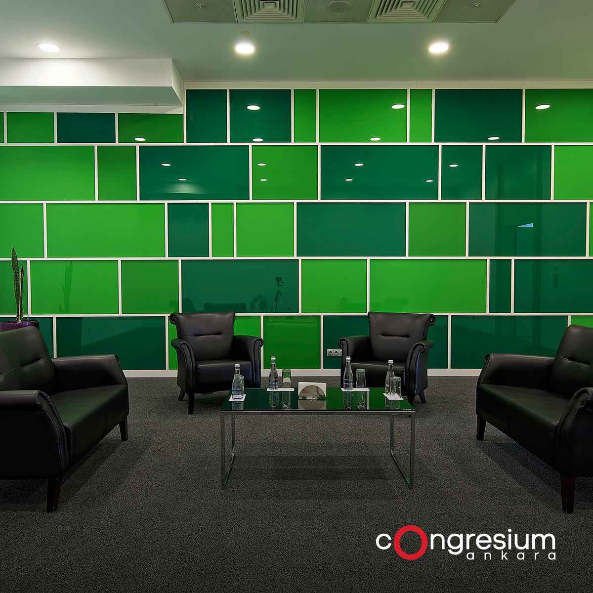 Congresium tweet media