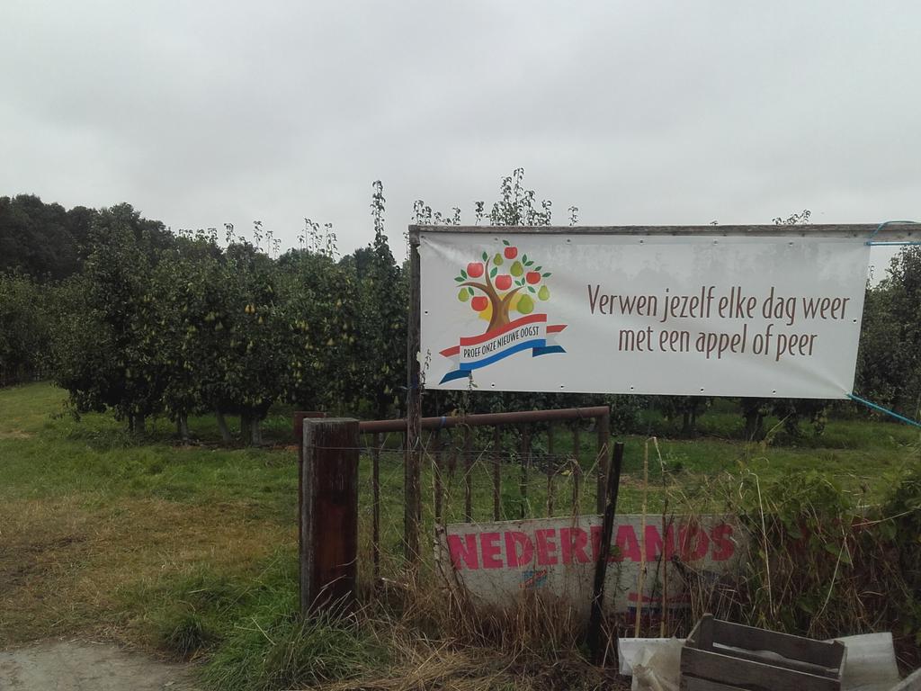 Gewoon omdat ze zo lekker zijn. <a href="/nieuweoogst/">Nieuwe Oogst</a>