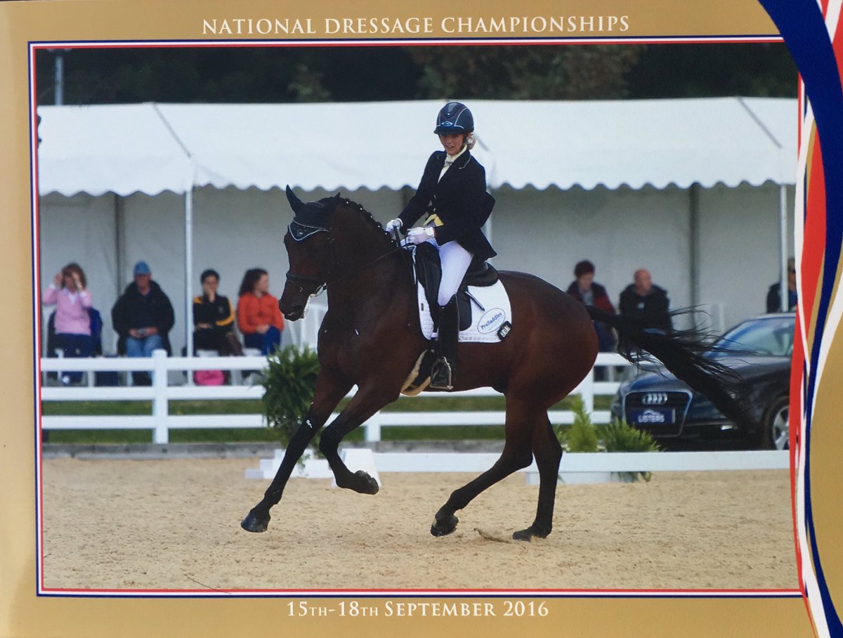 maye52839's tweet image. @britishdressage National Championships Lorenzo &amp;amp; I in @PROtectorHats @prosaddles @houseofmontar @MakebeOfficial