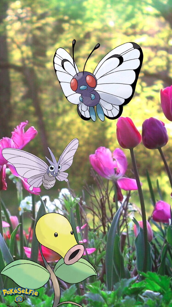sgstudio4's tweet photo. Make #funnypics and collages with this #app wid ur fav #pokemon #iOS https://t.co/jtkQmFJ4x7
#pokemongo #indiegames https://t.co/CFcfYCx68f
