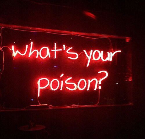 TheLayoutQueen's tweet image. Her name was Abby.