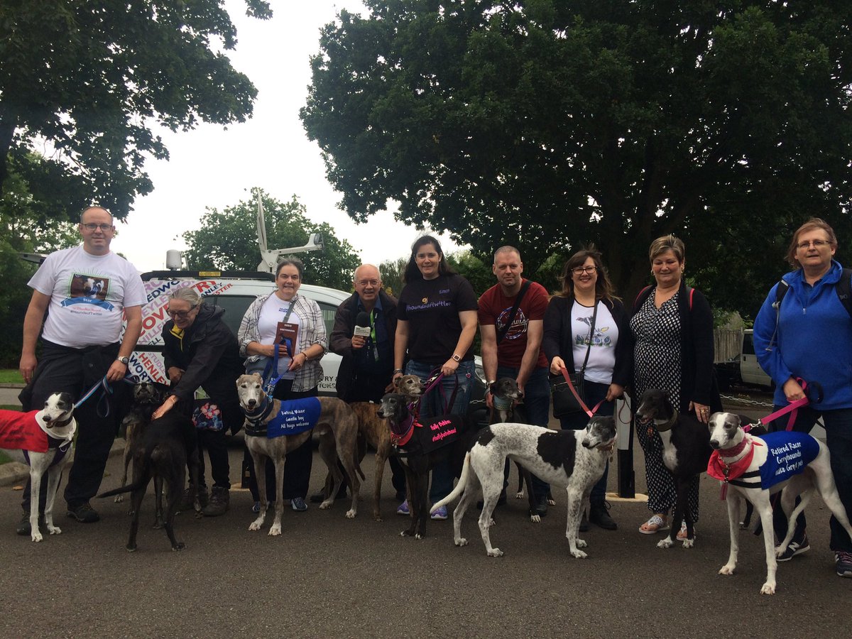 greyhoundtrust's tweet photo. It's a greyhound takeover on @BBCCovWarks at the #GGG16 https://t.co/dah2fkDgQd