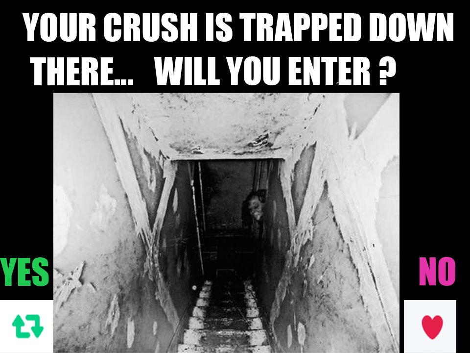 youarekitten's tweet photo. What will you do? https://t.co/ROqd0Hb9iE