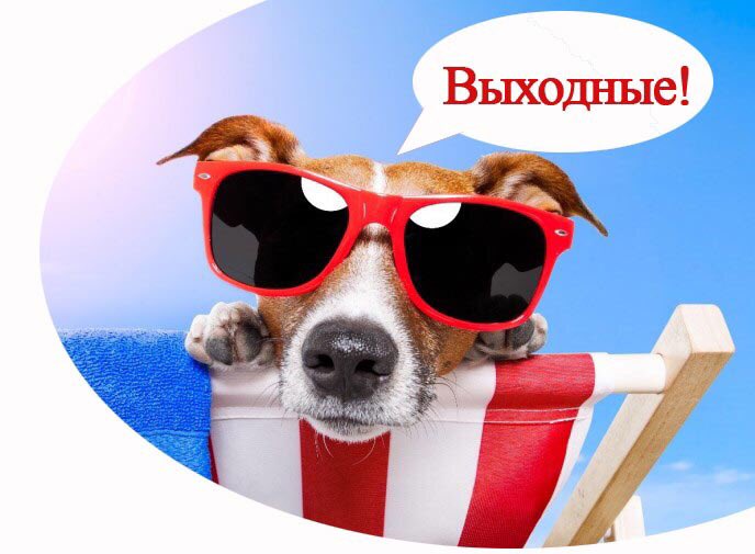 Чтобы начать новую жизнь с понедельника, надо дожить до Воскресения. #уравыходные