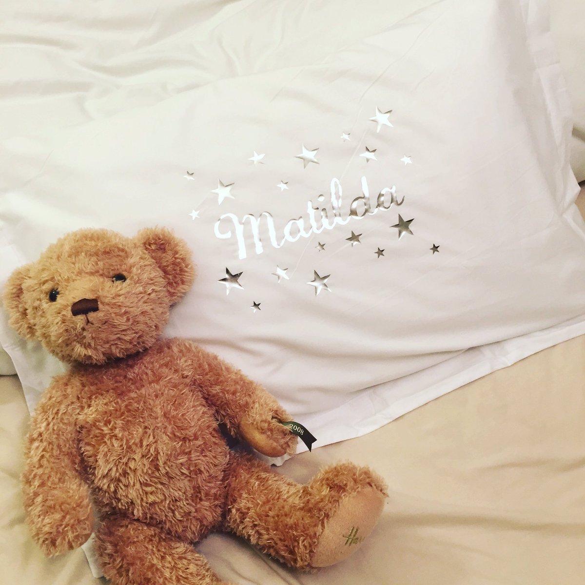 Amazing new foil pillowcases ⭐️ pinnyprincess.co.uk/_p/prd1/455912… #personalised #gift #baby #babyshower