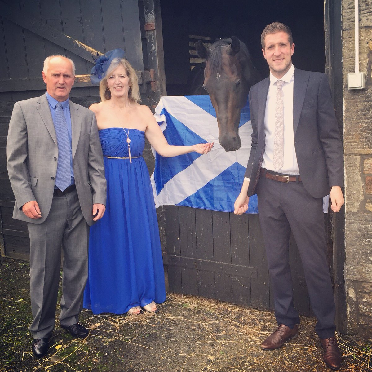 SidehouseStud's tweet photo. C'mon Jack Dexter #scottishowned #scottishtrained #scottishbornandraised #Scottishsire #Ayrgoldcupwinner? https://t.co/IJ0JKPXnrg