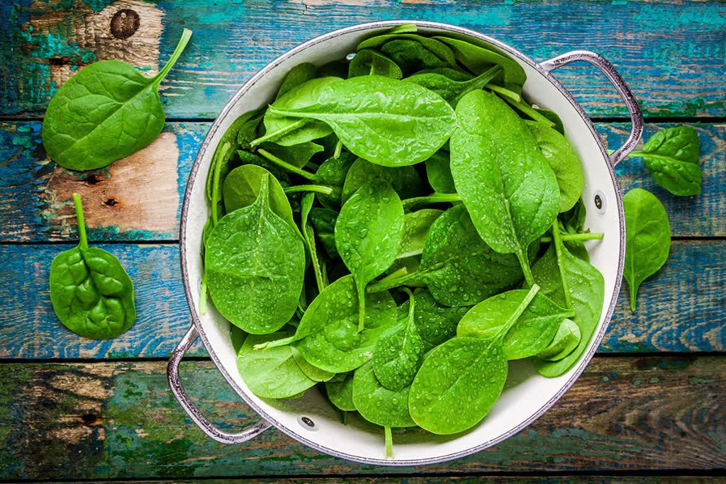 fisikal's tweet photo. Want to boost your #athletic performance? Leafy #greens might hold the answer!
benefits.https://t.co/Z8t2HOAKPt https://t.co/5dP0jyTqfG