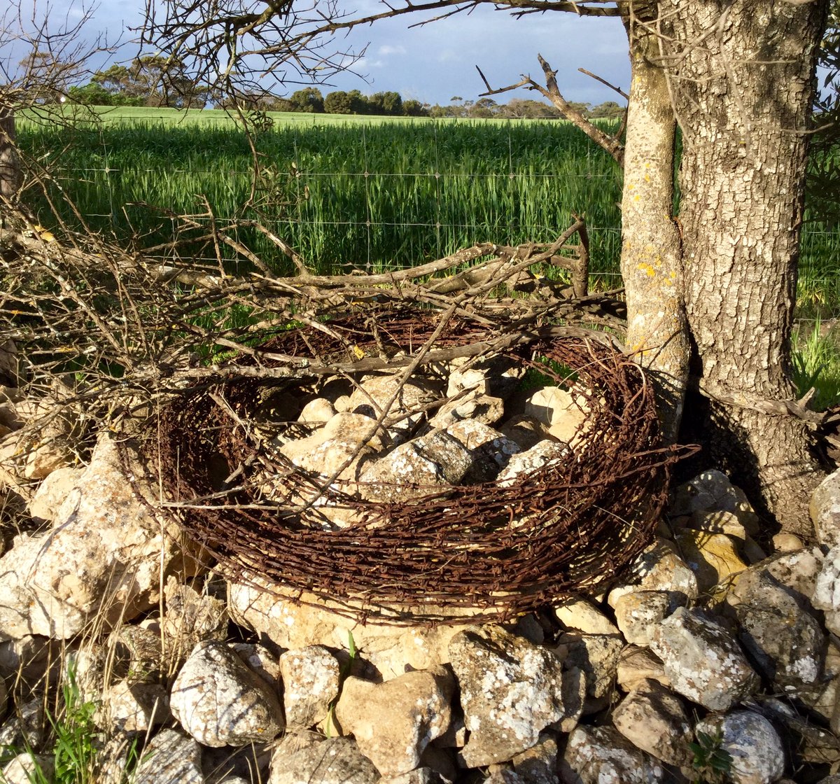 sherrbrae's tweet photo. #sherrbrae #backroadfinds #rustywire https://t.co/QWzTYE6bbj