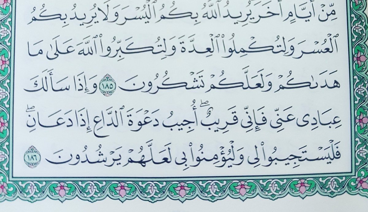 Naif_pic's tweet photo. #ايه_قرانيه_قريبه_لقلبك https://t.co/dvmdrGPCEc