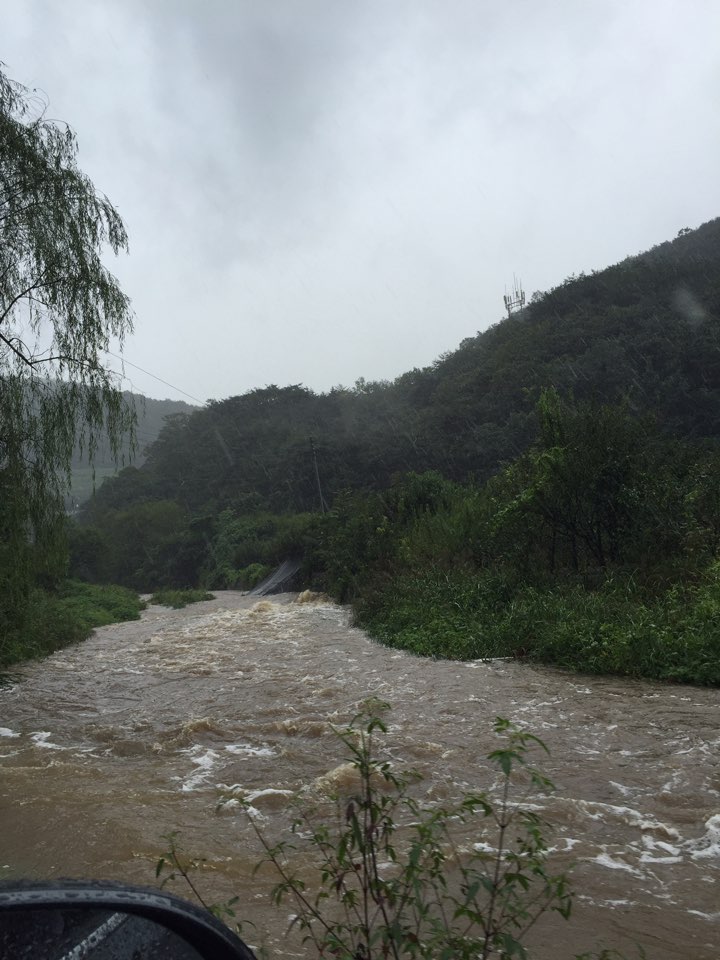 supsansa's tweet image. 천연기념물 1호 앞 수위입니다. 오후2시