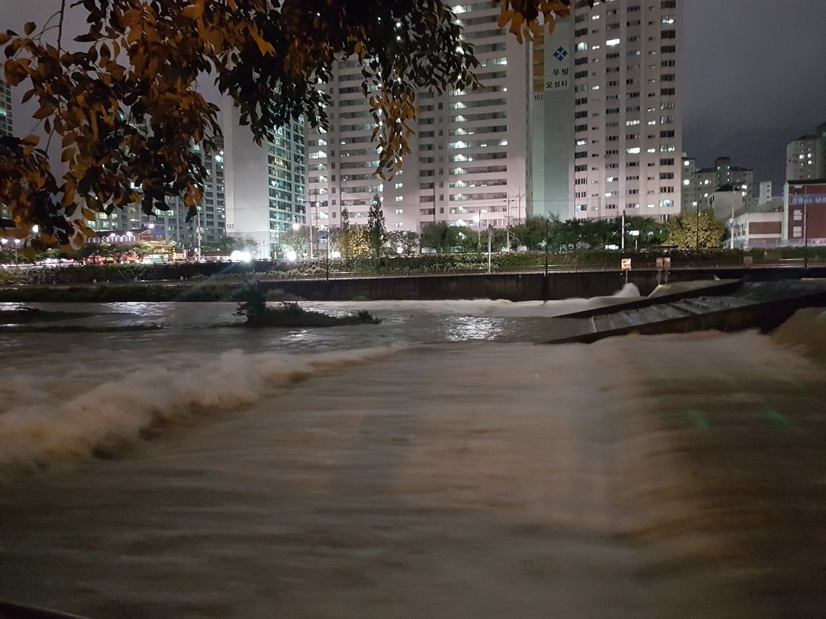 supsansa's tweet image. 대구 신천 현재 상황입니다