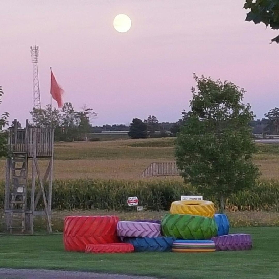LeapingDeerFarm's tweet photo. Full moon and a perfect cotton candy sky on the farm! #ldafam https://t.co/Iw01vqdFM5
