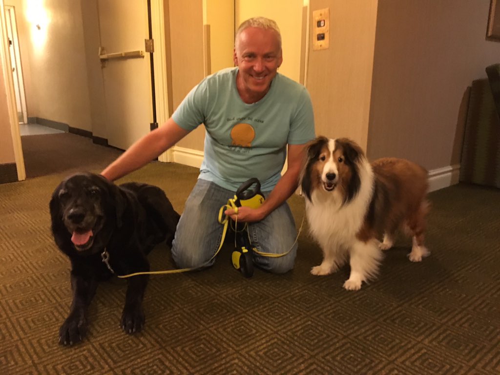 AfterShockComix's tweet photo. A little shoutout to ANIMOSITY from ALTERS writer @mypauljenkins and pups LT and Tucker. #fandogs https://t.co/dWncDUJhyr