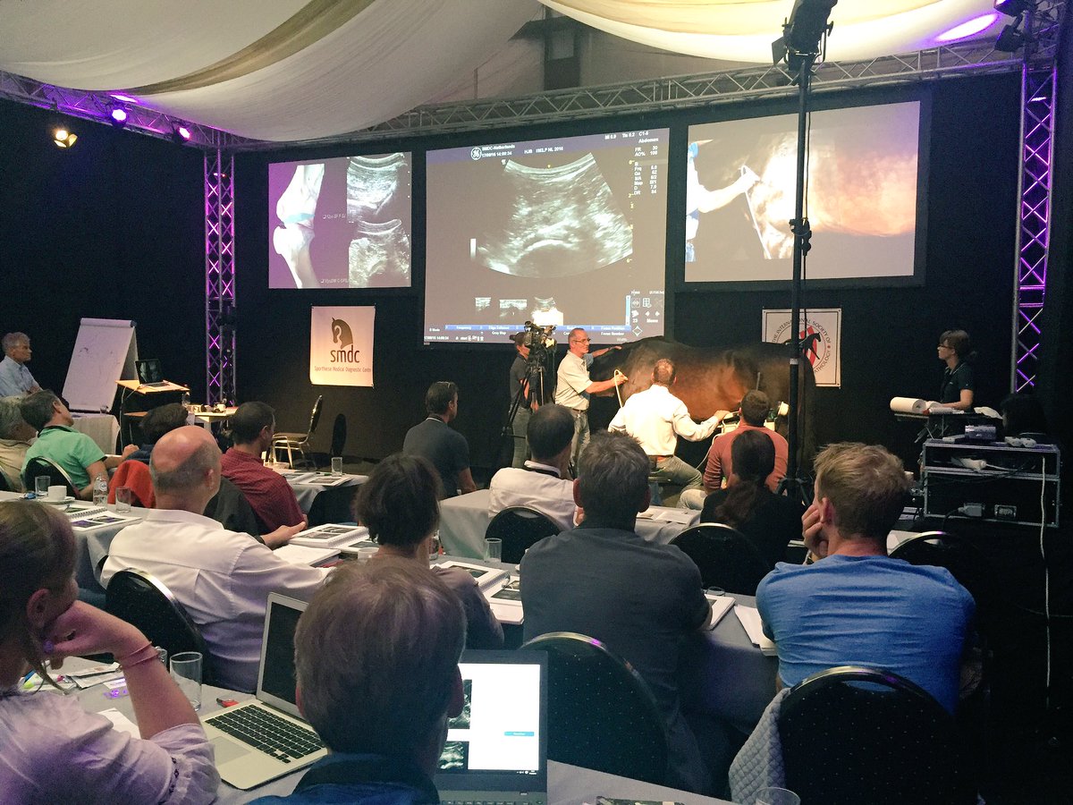 SMDC_NL's tweet photo. Day 2 of the #ISELP course at our clinic. Live ultrasound demo of shoulder and elbow, by Prof.Denoix https://t.co/krZgGyGgGi