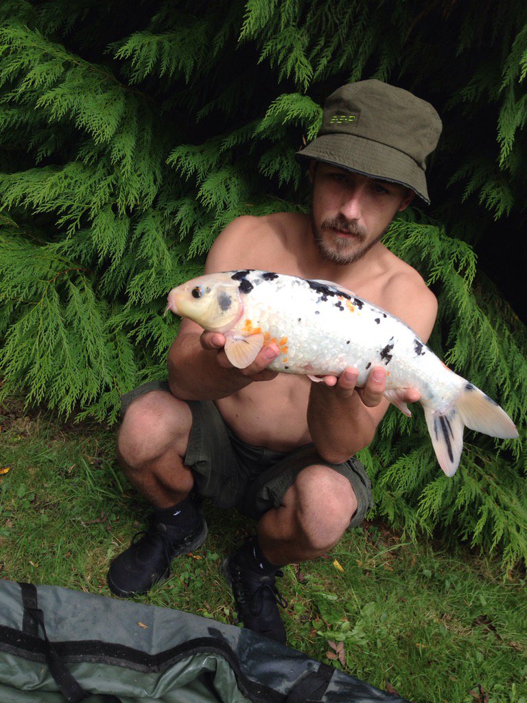 sam23myfishing's tweet photo. Also caught my first #koiCarp #SurfaceFishing https://t.co/OScCBBtaid