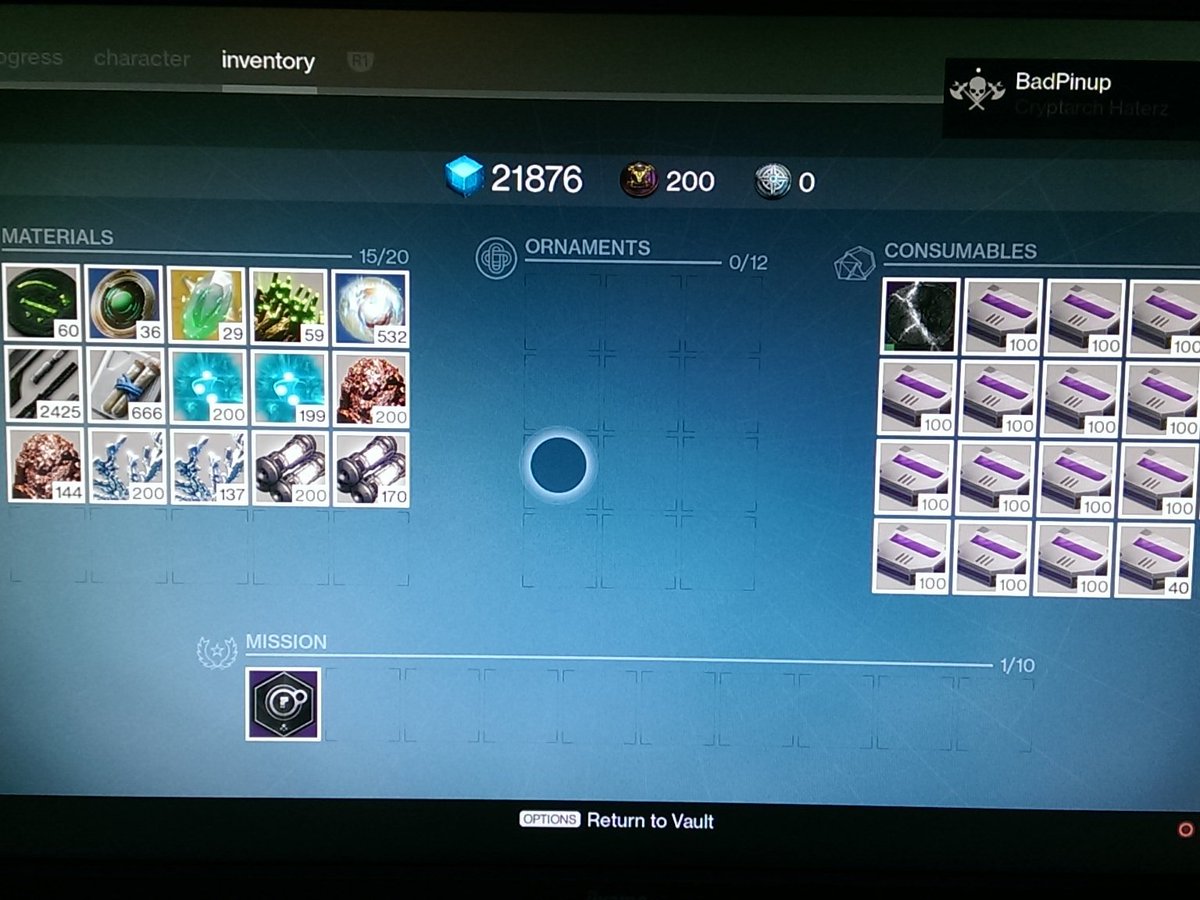 BadPinup's tweet image. I am ready! #destinythegame #RiseofIron Dead Orbit, prepare my stuff!!