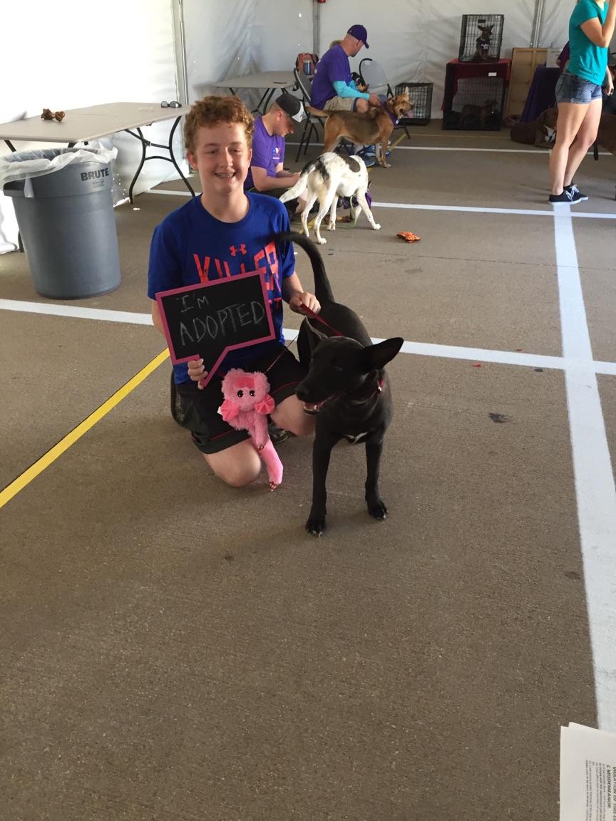 PetSmart Weatherford tweet media