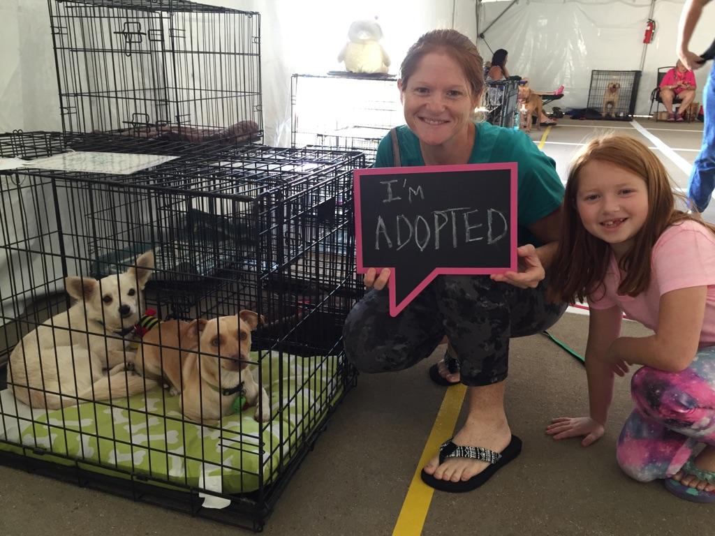 PetSmart Weatherford tweet media