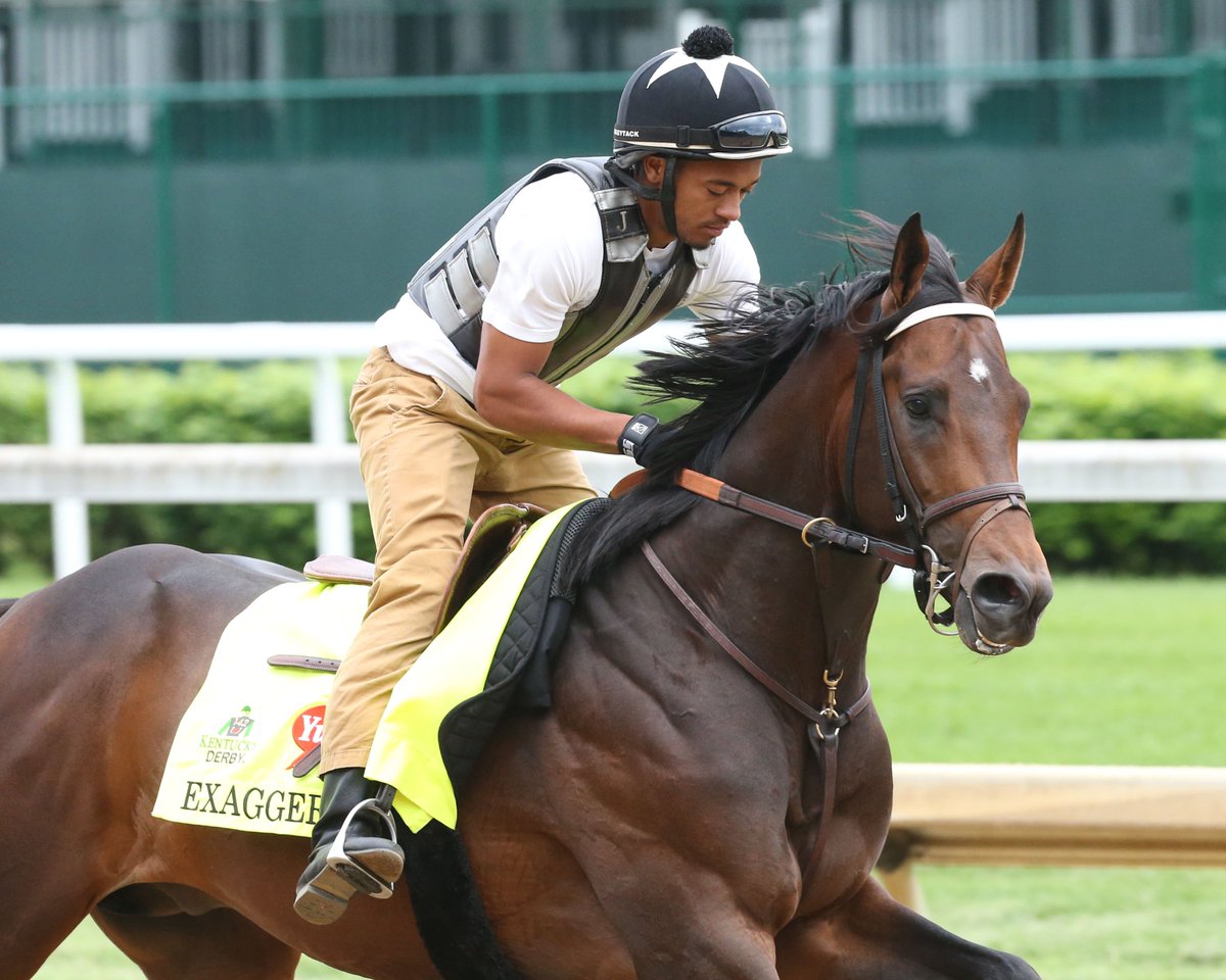 BARN NOTES - <a href="/PreaknessStakes/">Preakness Stakes</a> winner, #KyDerby runner-up Exaggerator breezes goo.gl/BRi0vv (Coady Photo)