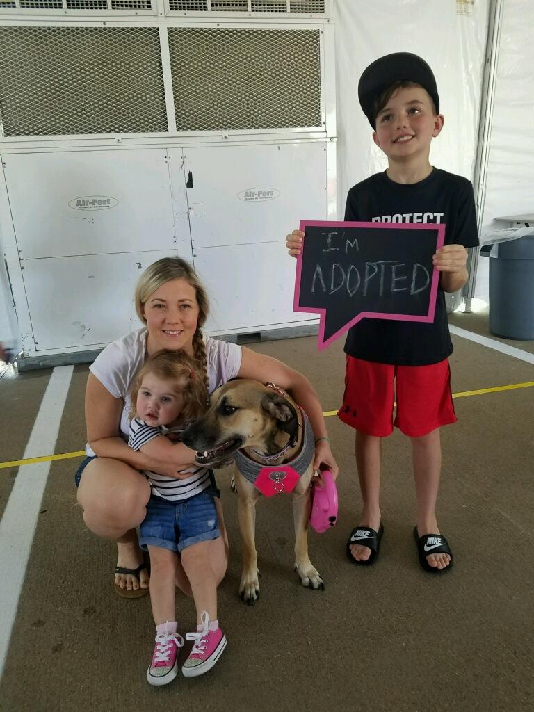 PetSmart Weatherford tweet media