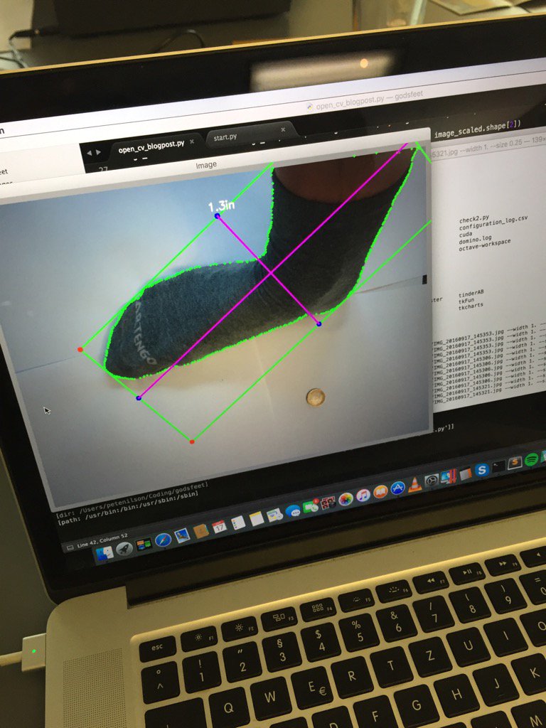 drenerbas's tweet image. Current status: teaching a computer to measure a foot #hackAIthon