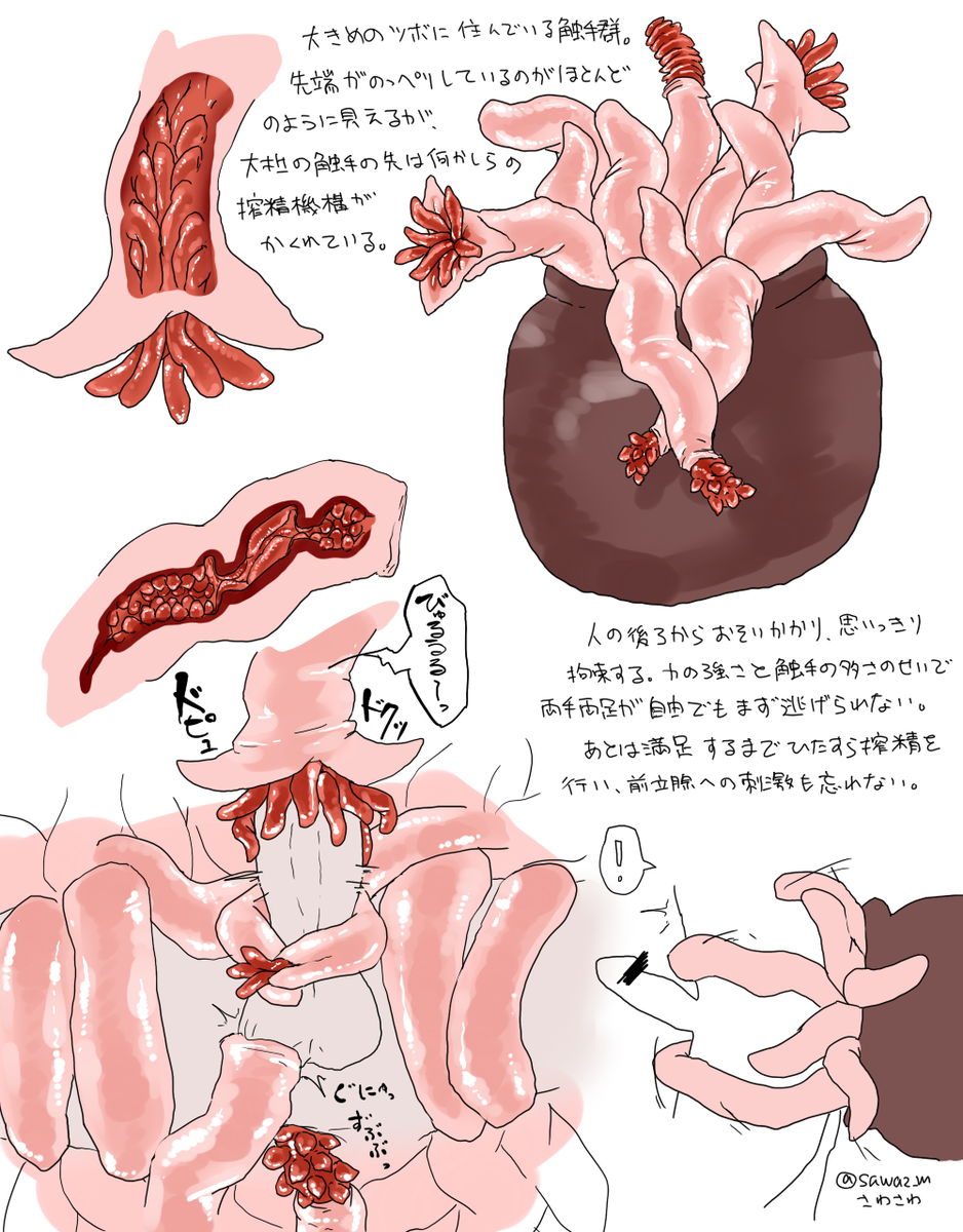 搾精　触手  / X
