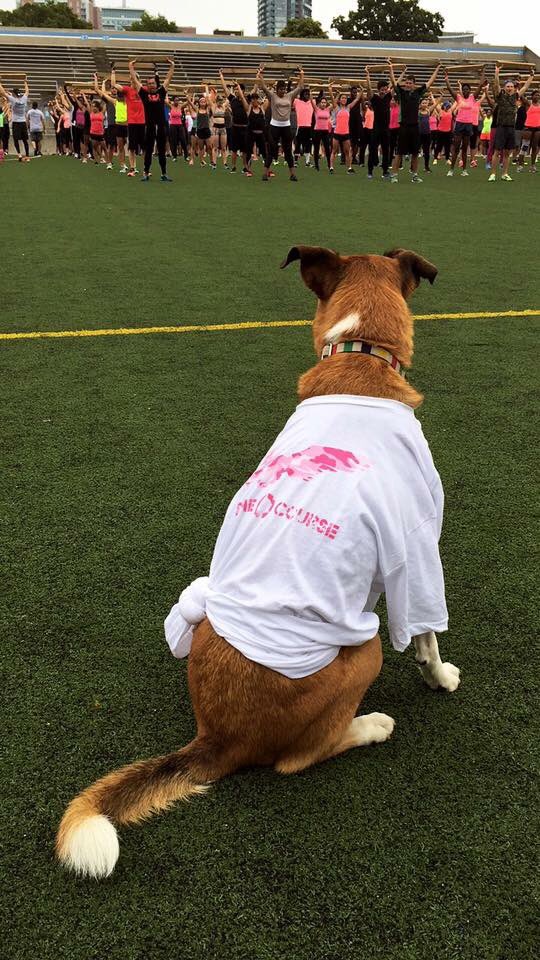 TheOCourse's tweet photo. Always your biggest support, on and off the field. #PinkOCourse 2016 in support of @rethinktweet. https://t.co/72Rc8hthnC
