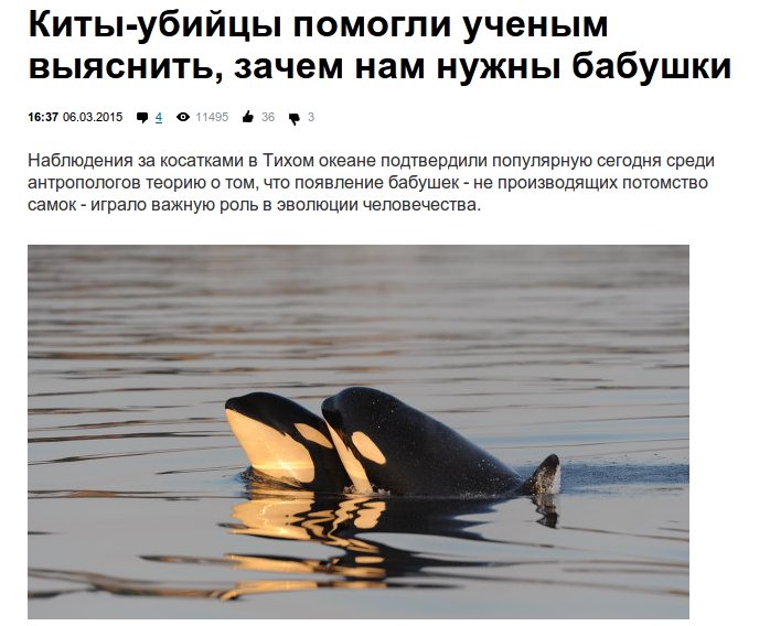 Не предвидется