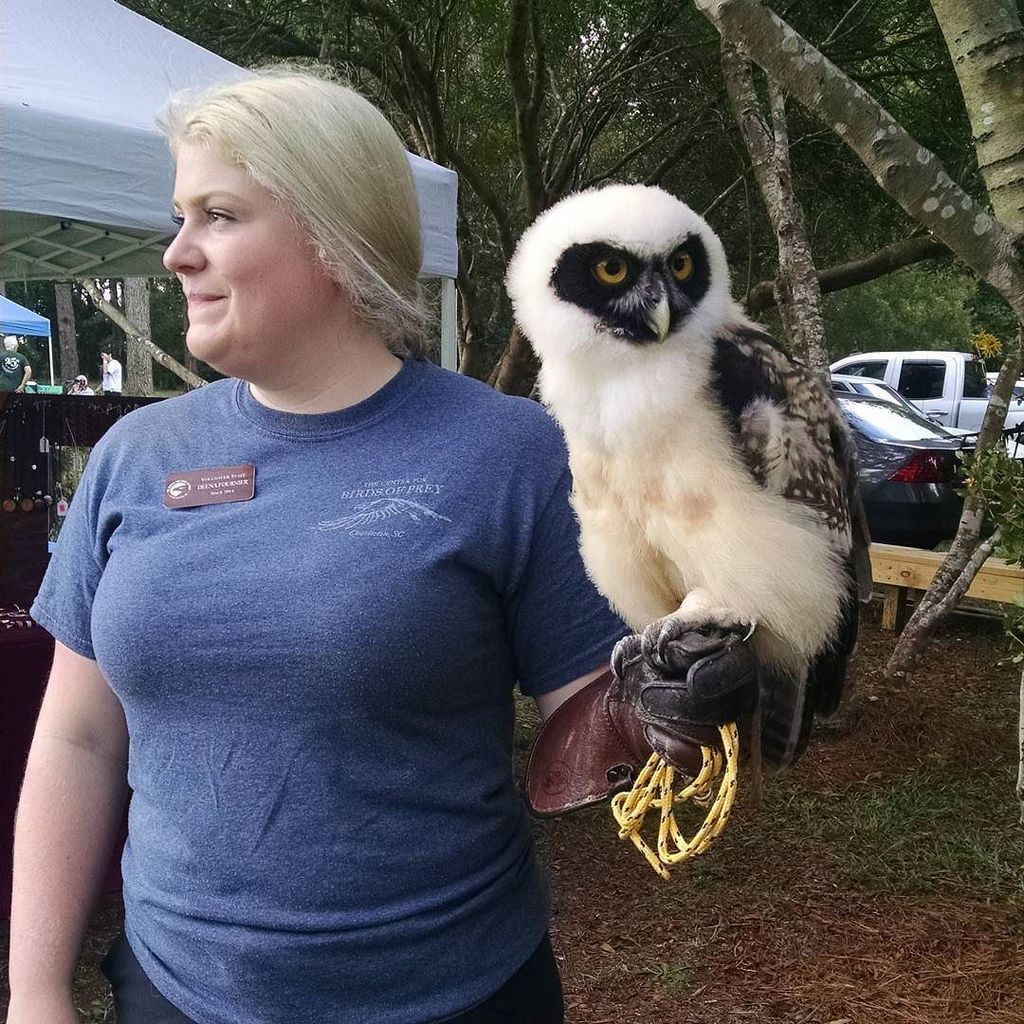 ValenStar's tweet photo. So fluffy! She's a juvenile Spectacled Owl. #centerforbirdsofprey #charlestonsc #awendawsc https://t.co/yPqfx6qcQm https://t.co/edKznTqsr3