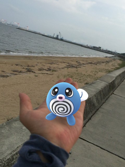 手乗りポケモン Twitter Search