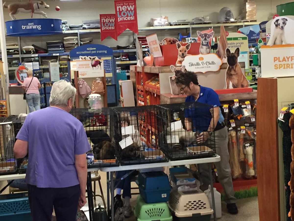 PetSmart 219 tweet media