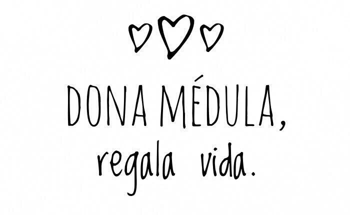 ¿Qué mejor manera de celebrar el #diamundialdeldonantedemedula?
⬇
#DonaMédula
⬇
#NoDueleNada
youtube.com/watch?v=xEcFze…