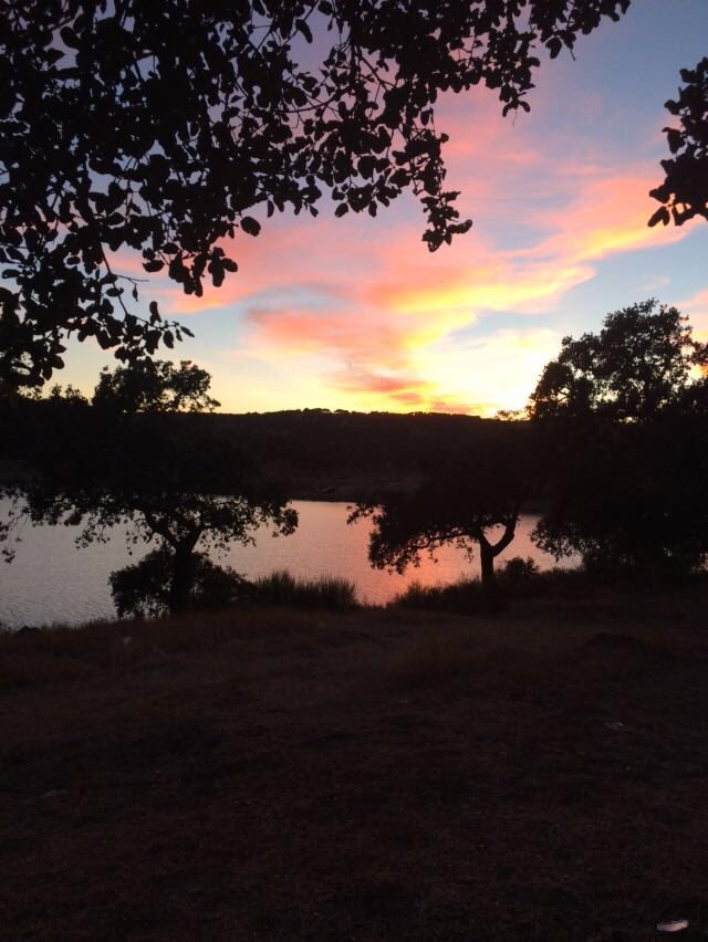 noeliadecala's tweet photo. Atardecer en #Monesterio #Extremadura @tiempobrasero https://t.co/A2mLUXBFGo