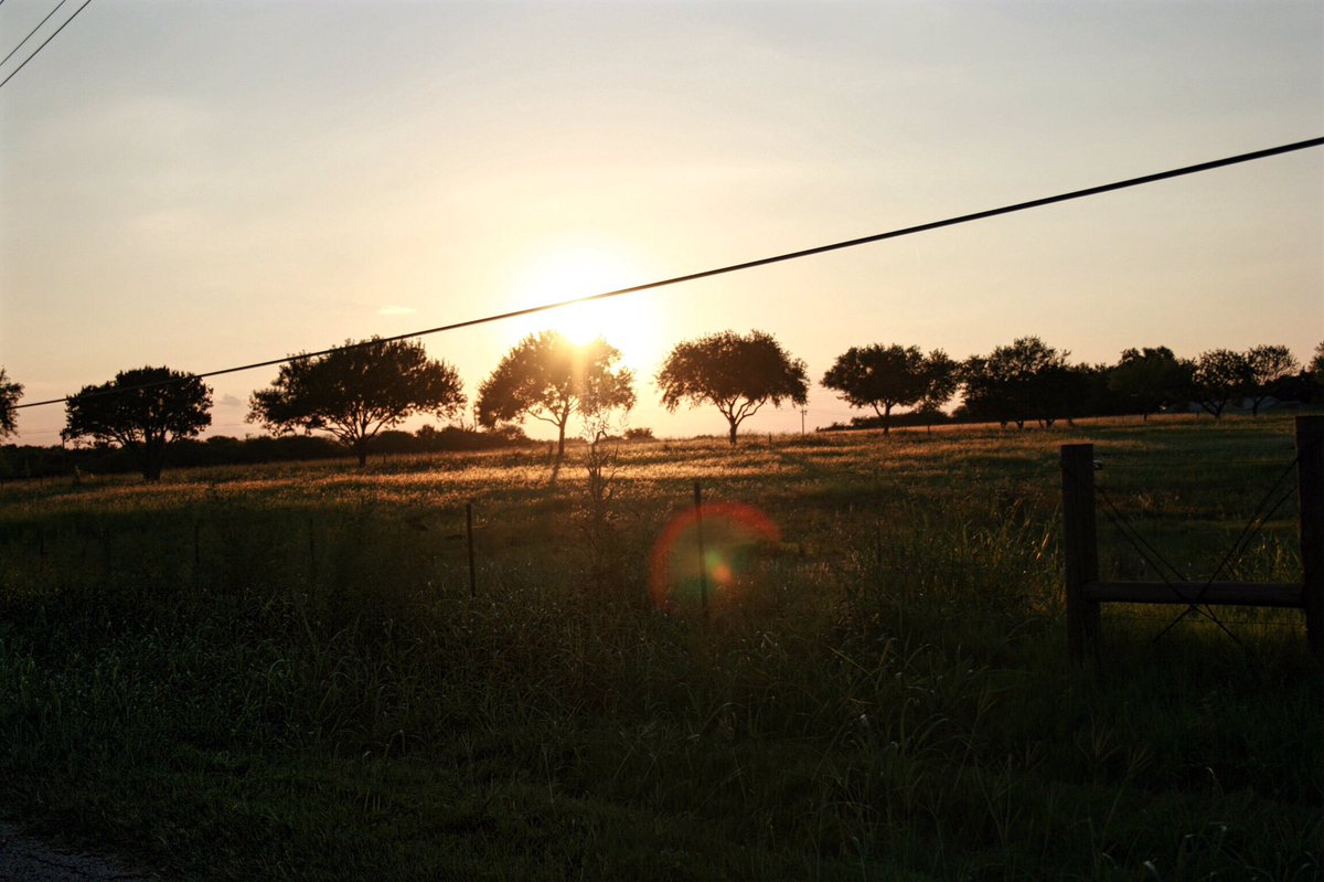 D_Hitem's tweet image. Ultralight beams