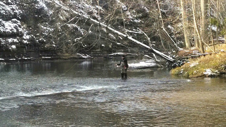 DoubleHauled tweet media