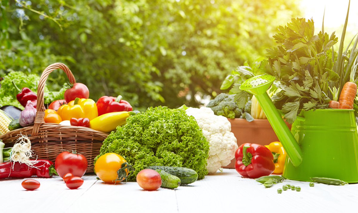 Yaz sebzelerinin tadını kışın da çıkarmak için, başlasın hazırlıklar! zoneclub.me/blog/kisa-hazi… #sagliklibeslenme