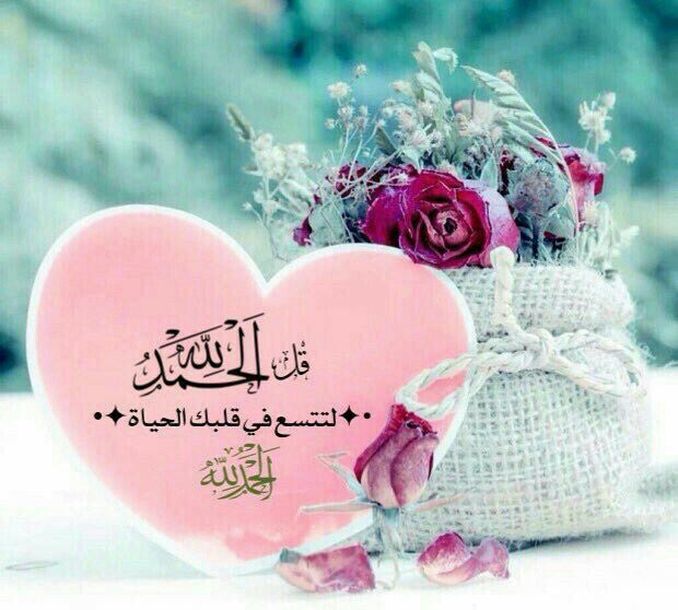 كف المخاليق لاتعطـي ولاتمنع
المعطي المانع الوهاب سبحانه
النفس عادتها فالزود ماتقنـع
لوتملك من الذهب وديان مليانه