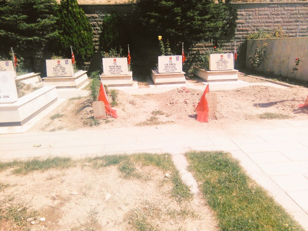 Ah ölüm...
Hiç bakmıyorsun kuruya yaşa, yazdırıyorsun gencecik fidanları bir mermer taşa...