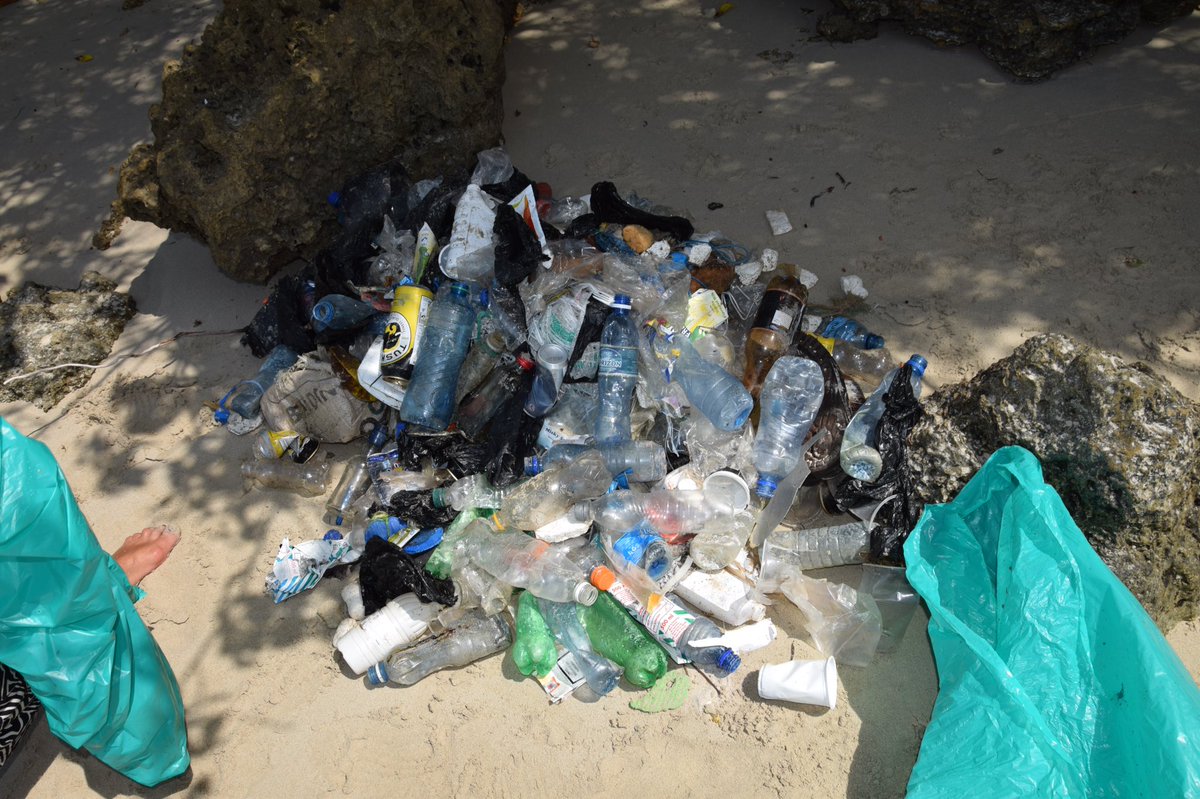 BraeburnMombasa's tweet photo. Although they couldn't attend our group clean up some of our students did their own! #kilificleanup #greatjob https://t.co/0Wpo3rhKYj